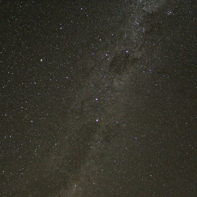Night Sky Emu in the Milky Way 2